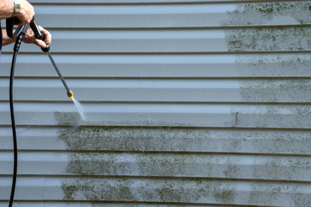 Best Property Management Cleanouts  in Thorntown, IN
